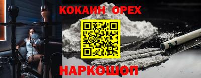 спиды Кингисепп
