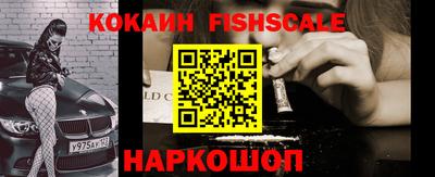 спиды Кингисепп