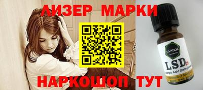 спиды Кингисепп