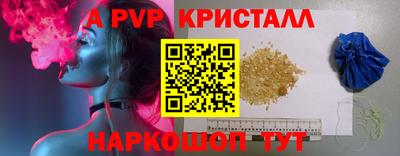 спиды Кингисепп