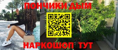 спиды Кингисепп