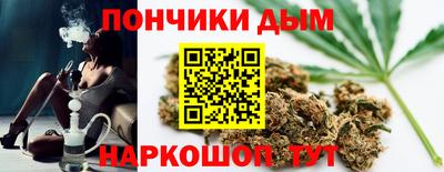 спиды Кингисепп