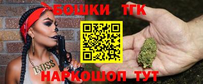 спиды Кингисепп