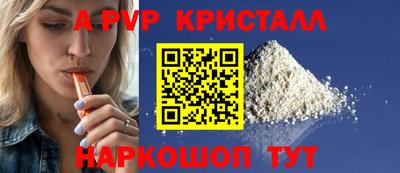спиды Кингисепп